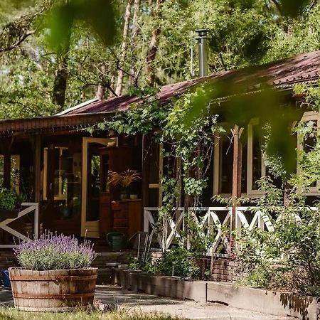 Forest Cottage With Lovely Garden & Sauna Doornspijk Extérieur photo