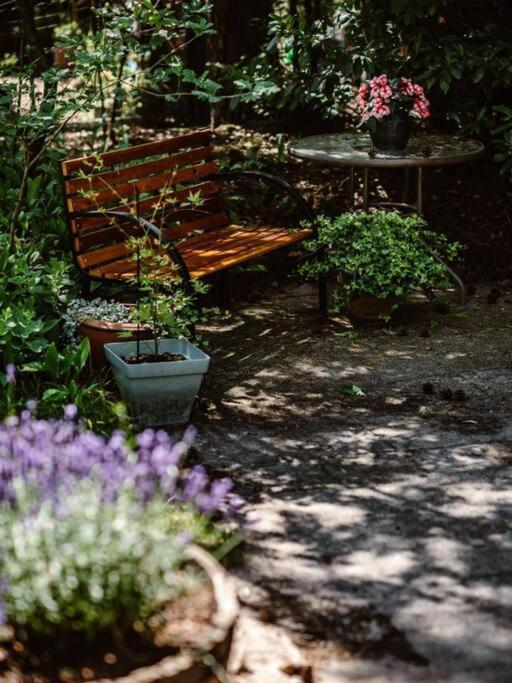 Forest Cottage With Lovely Garden & Sauna Doornspijk Extérieur photo