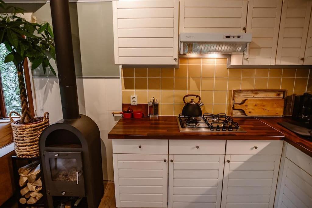 Forest Cottage With Lovely Garden & Sauna Doornspijk Extérieur photo