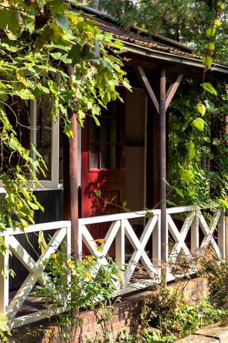 Forest Cottage With Lovely Garden & Sauna Doornspijk Extérieur photo